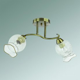 Люстра Rozetta 3109/2C