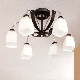 Потолочная люстра Крокус CL128161