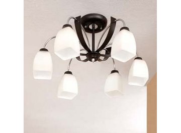 Потолочная люстра Крокус CL128161