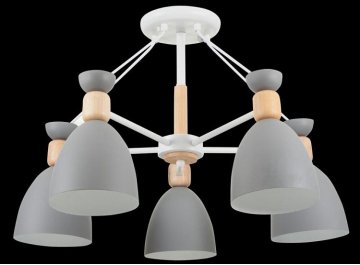 Потолочная люстра Delia FR5033CL-05W