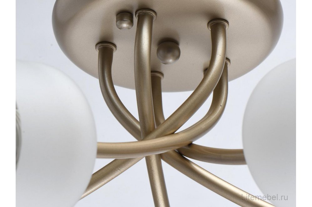Потолочная люстра Олимпия 638014705