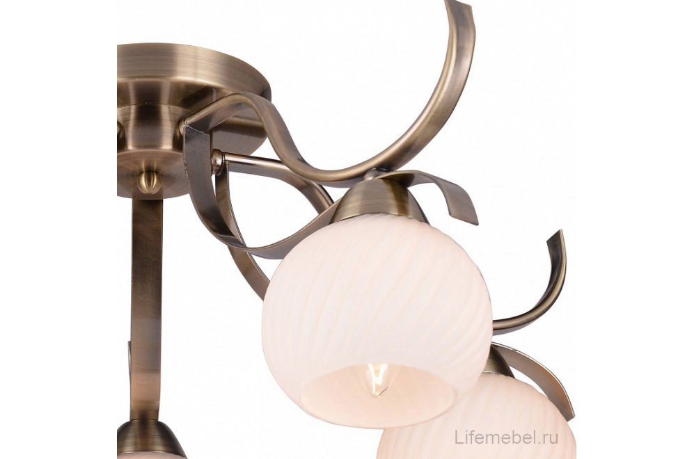 Потолочная люстра Olivia TL3750X-05AB
