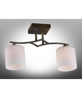 Потолочный светильник Pisticci OML-55317-02