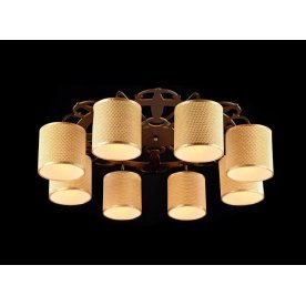 Потолочная люстра Timone FR5100-CL-08-BR