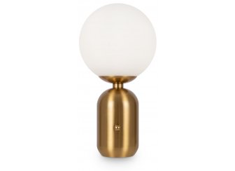 Настольная лампа FR5287TL-01BS