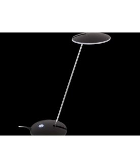 Настольная лампа Ньютон CL803032