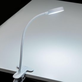 Настольная лампа Ньютон CL803070N