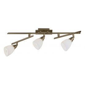 Спот Frank 5451-3