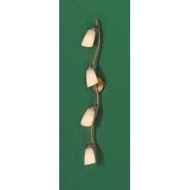 Спот Белла CL501543