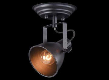 Потолочный спот Ibbi FR4276-CW-01-B