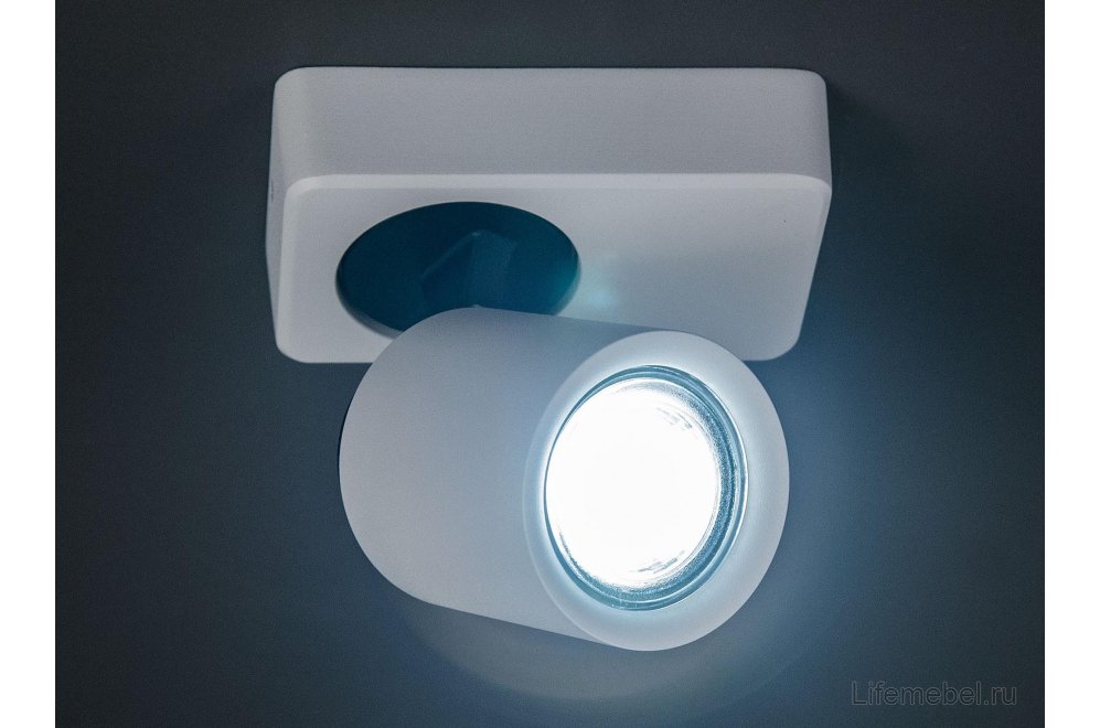 Спот Норман CL533510