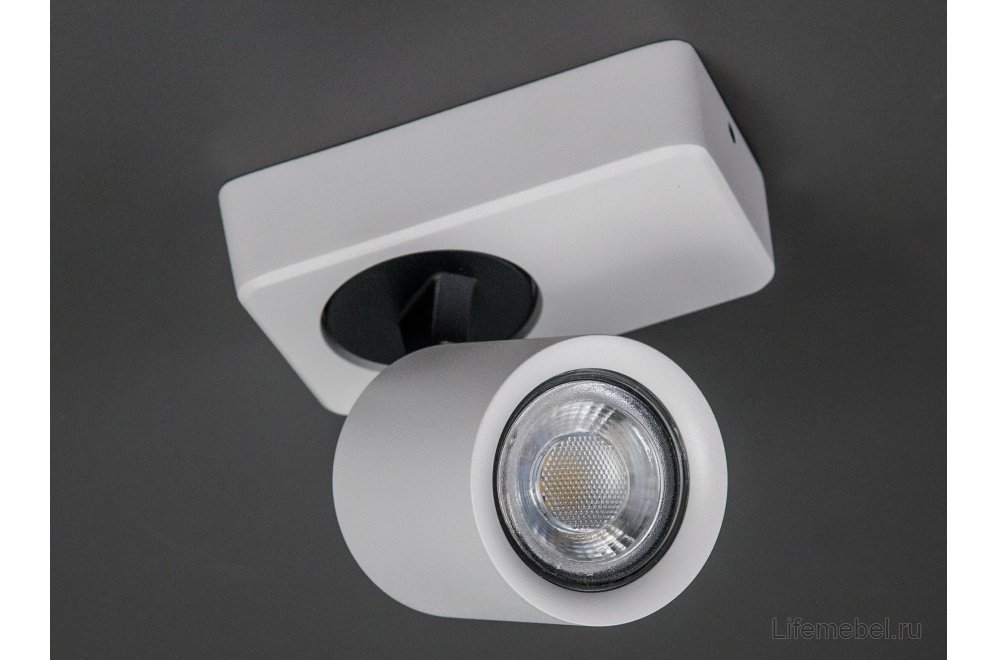 Спот Норман CL533510