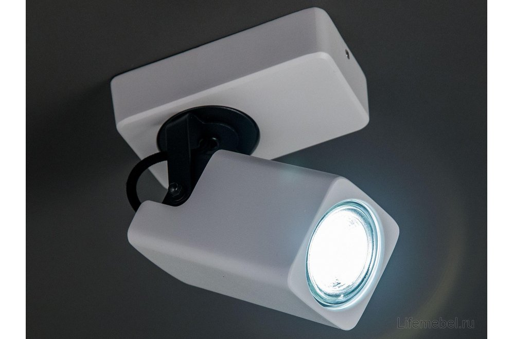 Спот Норман CL533610