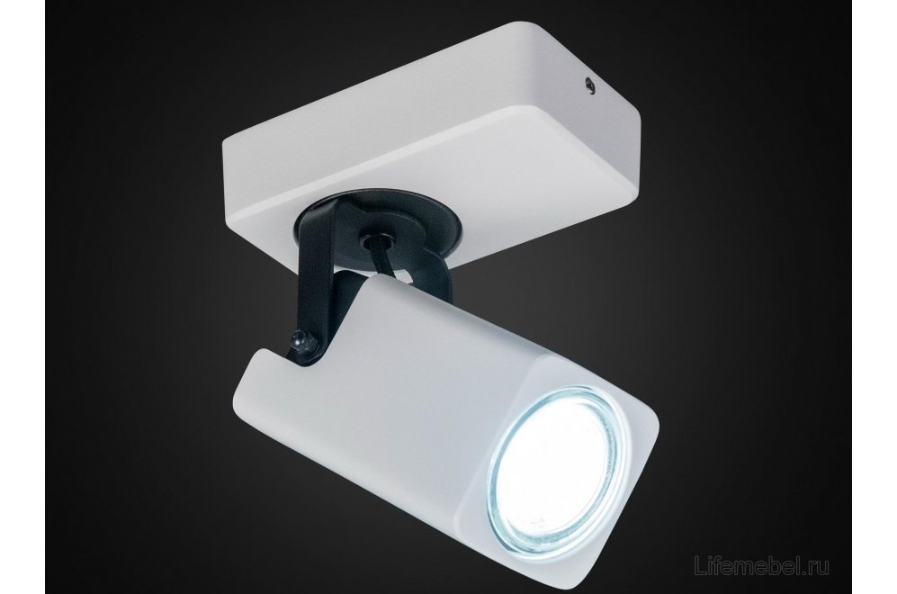 Спот Норман CL533610