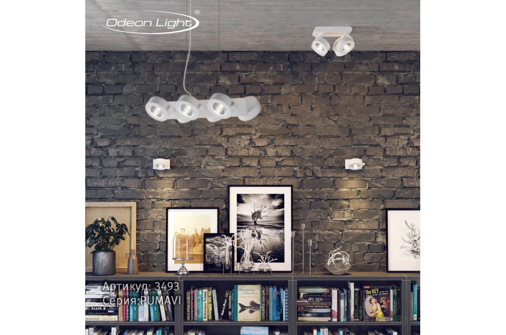 Спот Pumavi 3493/40CL