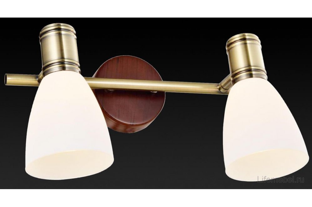 Спот Sharyl TL3720Y-02BB