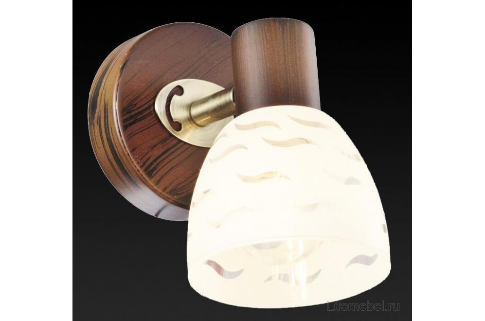 Спот Shayla TL3730Y-01BB