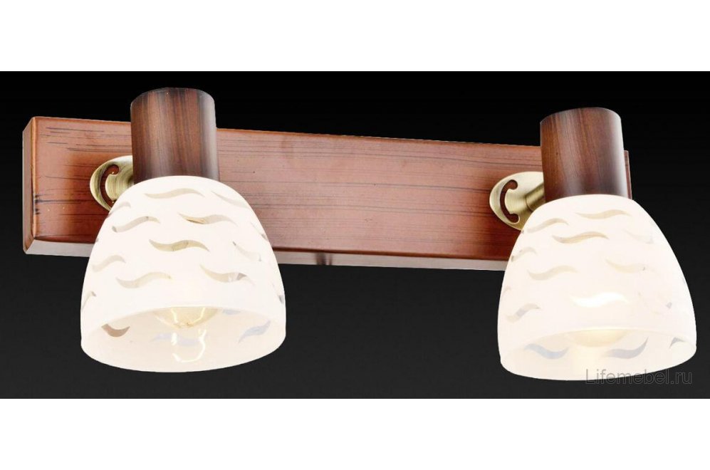 Спот Shayla TL3730Y-02BB