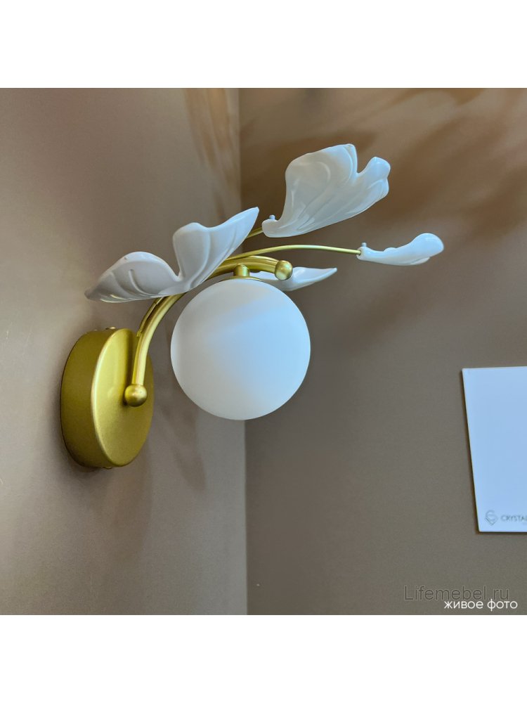 Бра COLIBRI AP1 GOLD