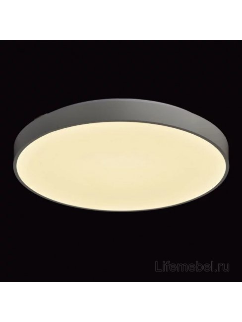 Потолочный светильник Ривз 674013101