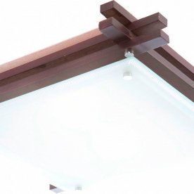 Накладной светильник Edison 48324-2