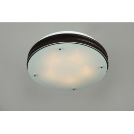 Накладной светильник OM-403 OML-40307-05