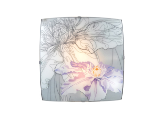 Накладной светильник Iris 1230