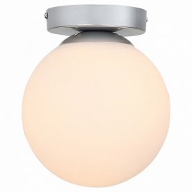 Настенно-потолочный светильник Acini SL717.501.01