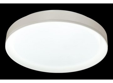 Настенно-потолочный светильник BIONIC 3030/DL