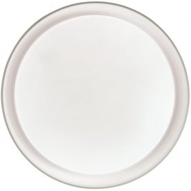 Настенно-потолочный светильник BIONIC 3030/EL