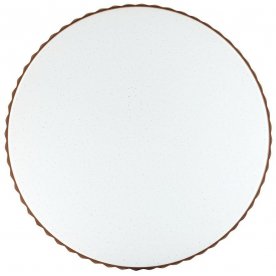 Настенно-потолочный светильник Dina 2078/EL