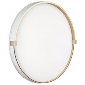 Настенно-потолочный светильник 7646/DL