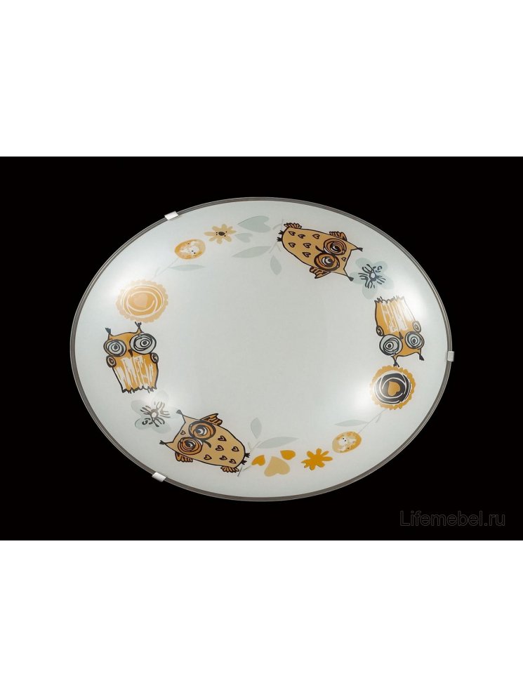 Настенно-потолочный светильник Ovi 2067/BL