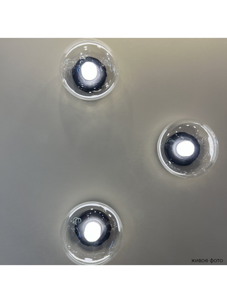 Настенный светильник BOSQUE AP1 BLACK/TRANSPARENT