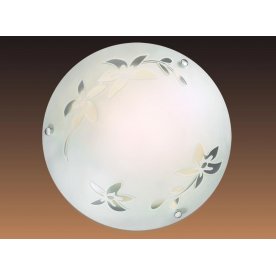 Настенный светильник Romana 1214