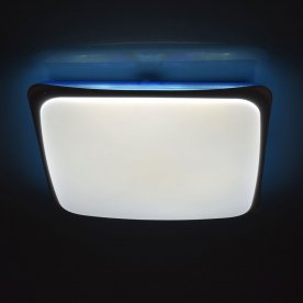 Потолочный светильник Ривз 674014401