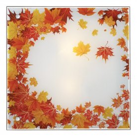 Накладной светильник Autunno 2254