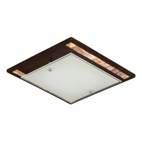 Накладной светильник Simmetria CL810-01-R