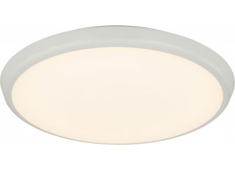 Потолочный светильник Aemon 32109