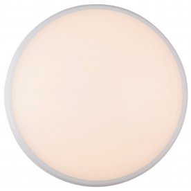 Потолочный светильник Aemon 32109S