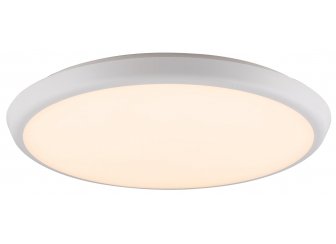 Потолочный светильник Aemon 32109S