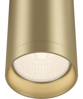 Потолочный светильник C010CL-01MG