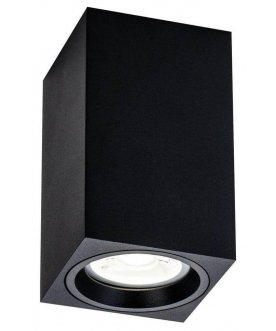 Потолочный светильник C011CL-01B