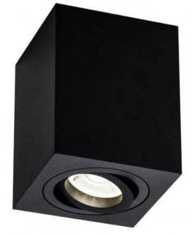 Потолочный светильник C017CL-01B