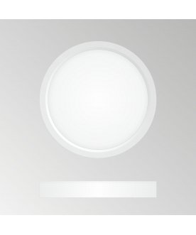 Потолочный светильник Бейсик CL738120N