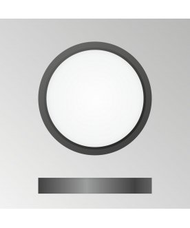 Потолочный светильник Бейсик CL738121N