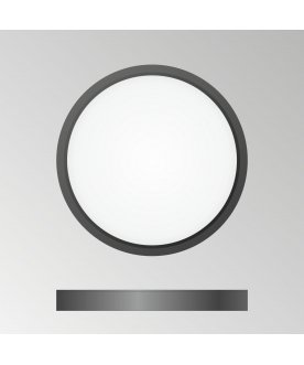 Потолочный светильник Бейсик CL738181V