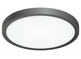 Потолочный светильник Бейсик CL738181V