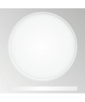 Потолочный светильник Бейсик CL738320V