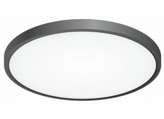 Потолочный светильник Бейсик CL738321V